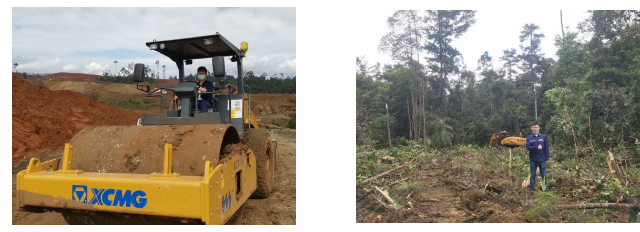 ɭ��������-׷�󿵽�,����һ������