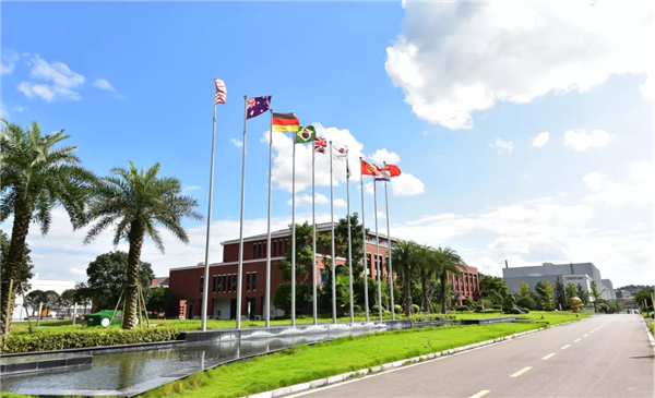 ɭ��������-׷�󿵽�,����һ������