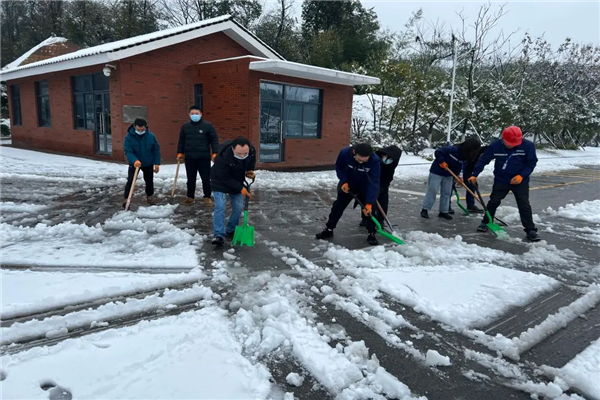 ɭ��������-׷�󿵽�,����һ������