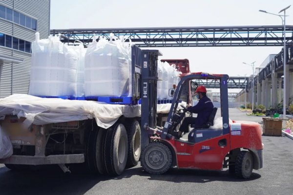 ɭ��������-׷�󿵽�,����һ������