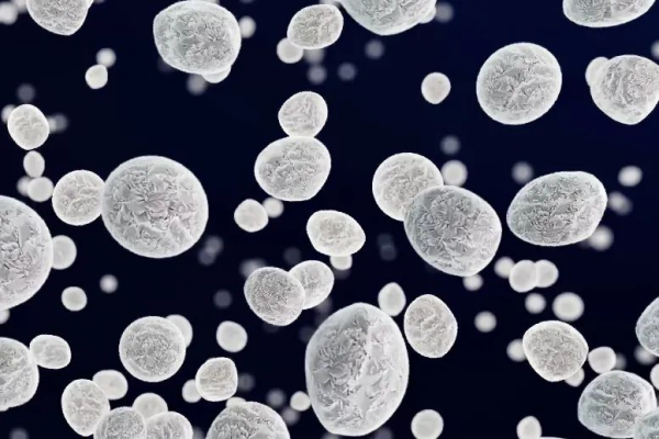 ɭ��������-׷�󿵽�,����һ������