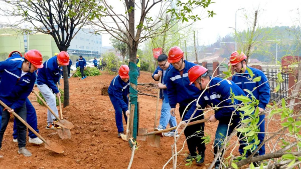 ɭ��������-׷�󿵽�,����һ������