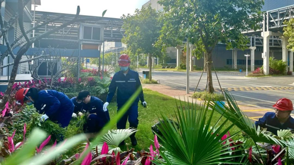 ɭ��������-׷�󿵽�,����һ������