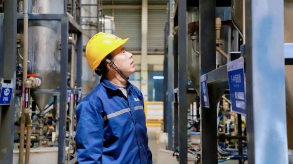 ɭ��������-׷�󿵽�,����һ������