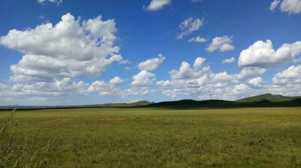 ɭ��������-׷�󿵽�,����һ������