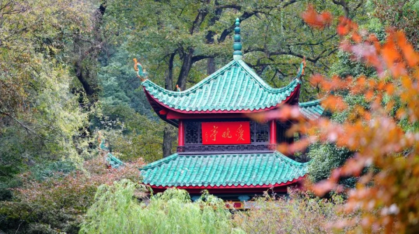 ɭ��������-׷�󿵽�,����һ������