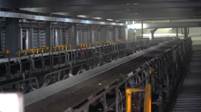 ɭ��������-׷�󿵽�,����һ������