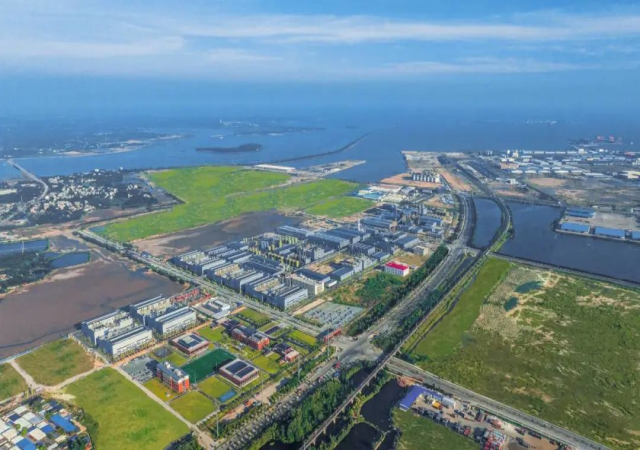 ɭ��������-׷�󿵽�,����һ������