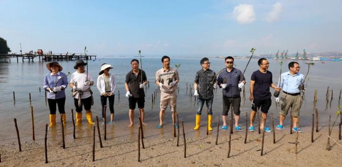 ɭ��������-׷�󿵽�,����һ������