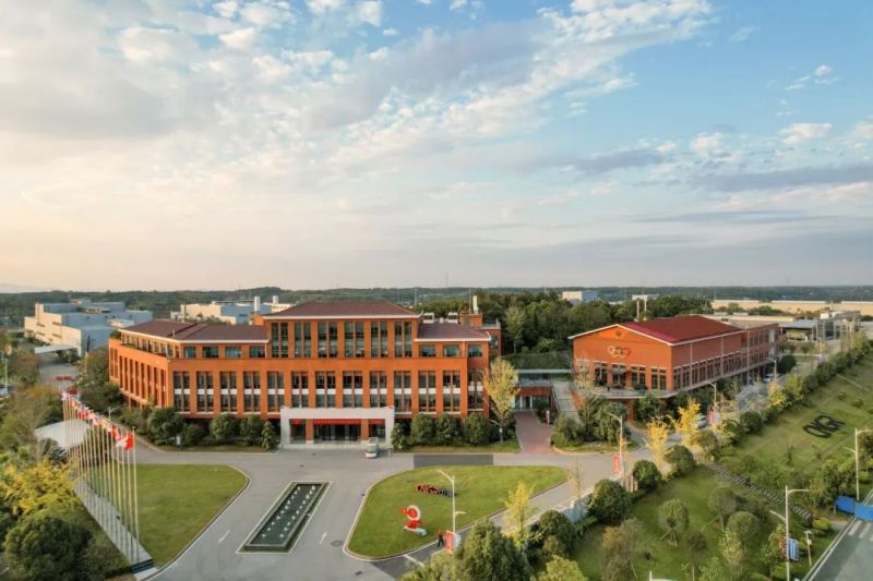 ɭ��������-׷�󿵽�,����һ������