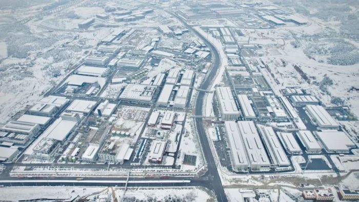 ɭ��������-׷�󿵽�,����һ������