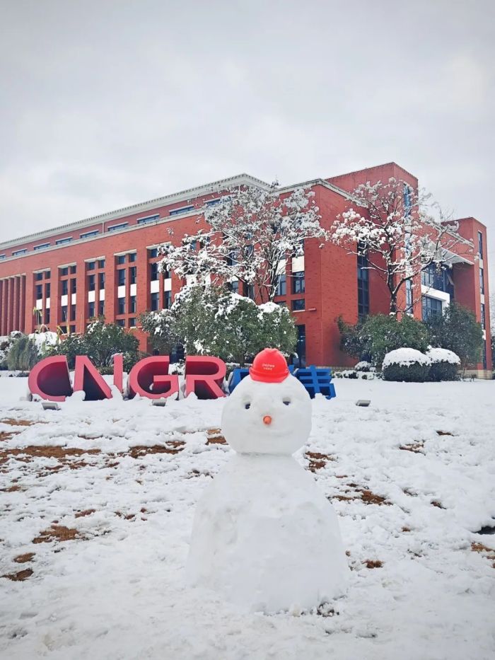 ɭ��������-׷�󿵽�,����һ������