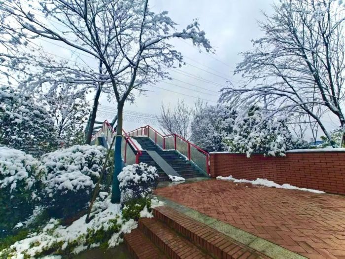 ɭ��������-׷�󿵽�,����һ������