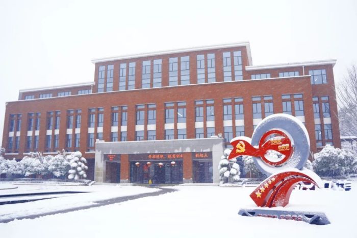 ɭ��������-׷�󿵽�,����һ������