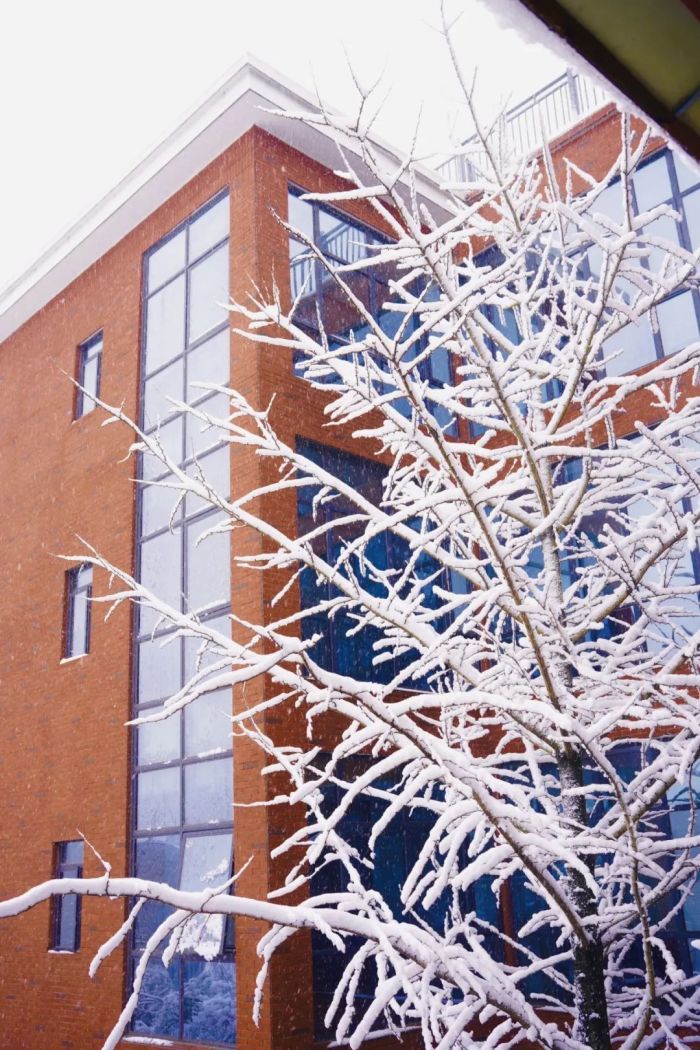 ɭ��������-׷�󿵽�,����һ������