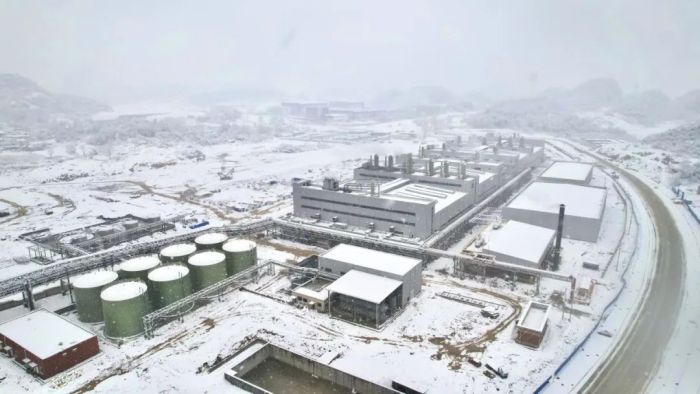 ɭ��������-׷�󿵽�,����һ������