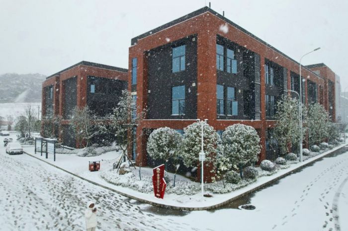 ɭ��������-׷�󿵽�,����һ������