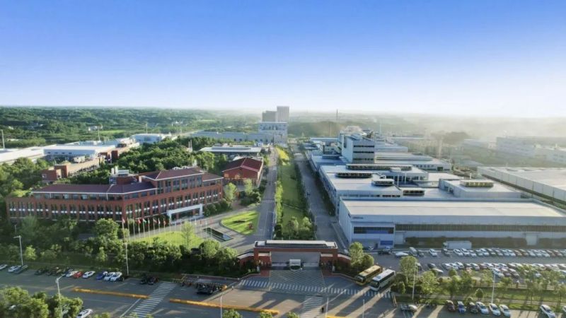 ɭ��������-׷�󿵽�,����һ������