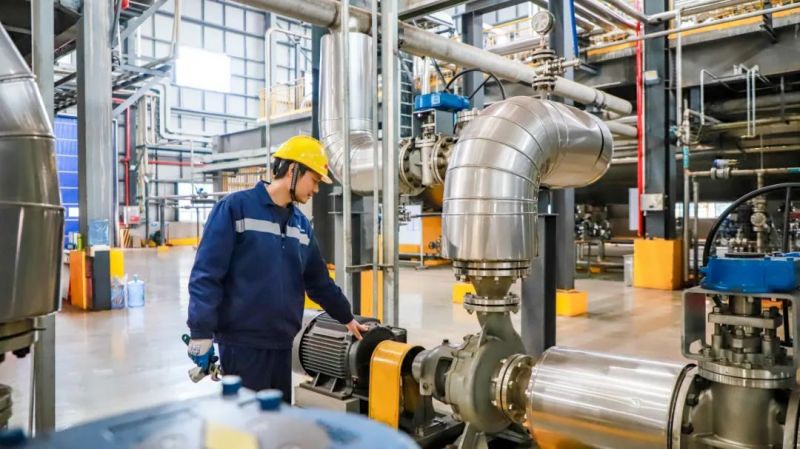 ɭ��������-׷�󿵽�,����һ������