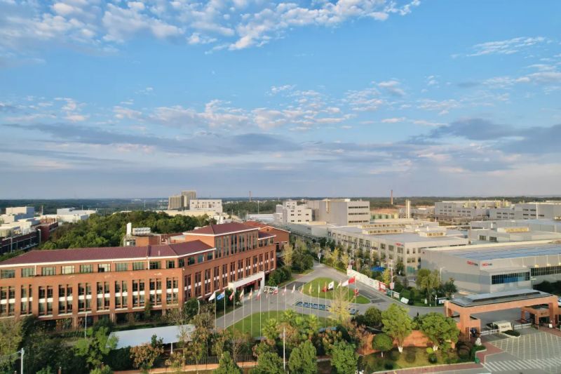 ɭ��������-׷�󿵽�,����һ������