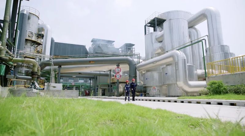 ɭ��������-׷�󿵽�,����һ������