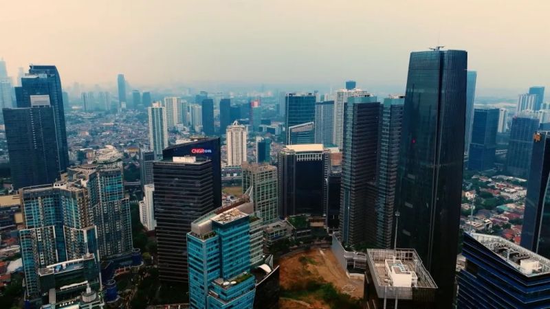 ɭ��������-׷�󿵽�,����һ������