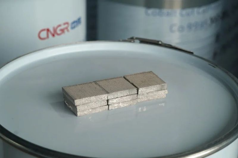 ɭ��������-׷�󿵽�,����һ������