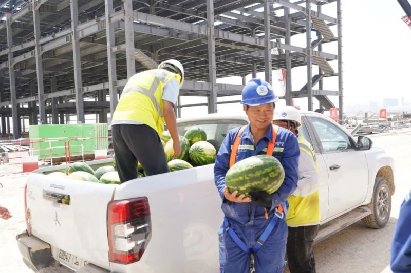 ɭ��������-׷�󿵽�,����һ������