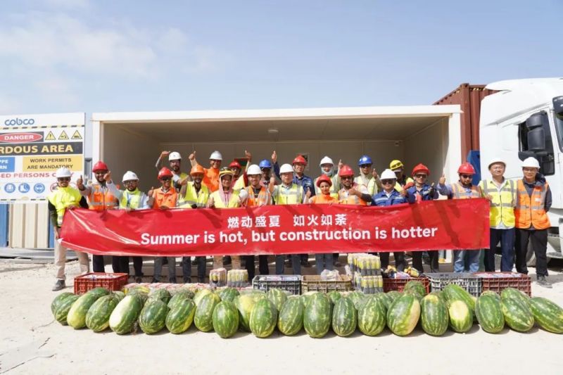 ɭ��������-׷�󿵽�,����һ������