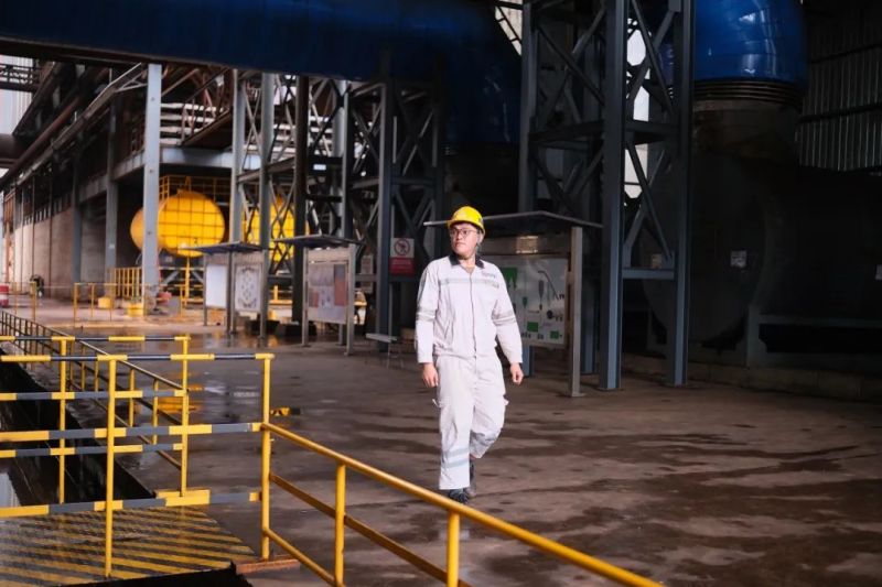 ɭ��������-׷�󿵽�,����һ������