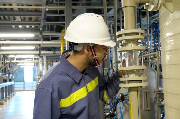 ɭ��������-׷�󿵽�,����һ������