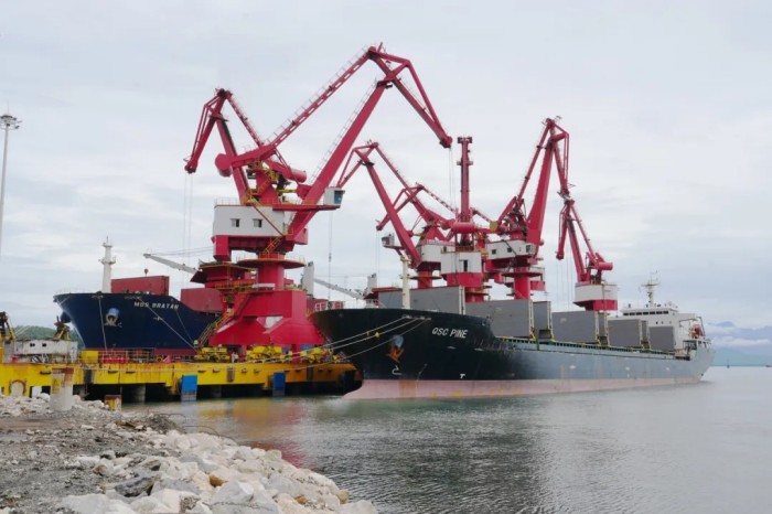 ɭ��������-׷�󿵽�,����һ������