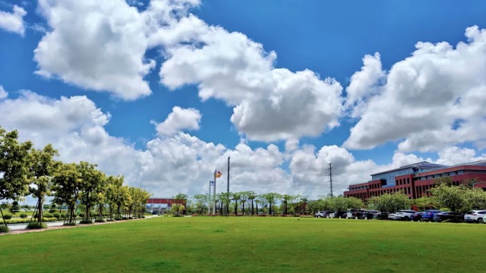 ɭ��������-׷�󿵽�,����һ������