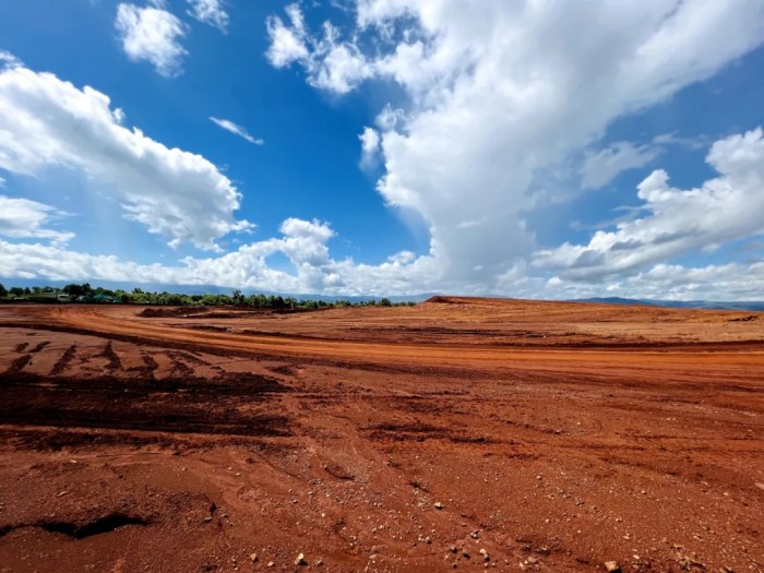 ɭ��������-׷�󿵽�,����һ������