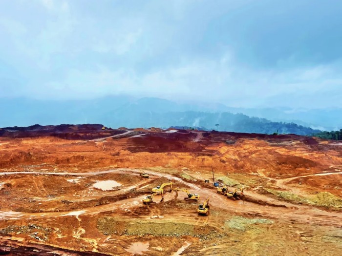 ɭ��������-׷�󿵽�,����һ������