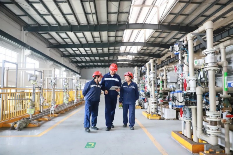 ɭ��������-׷�󿵽�,����һ������