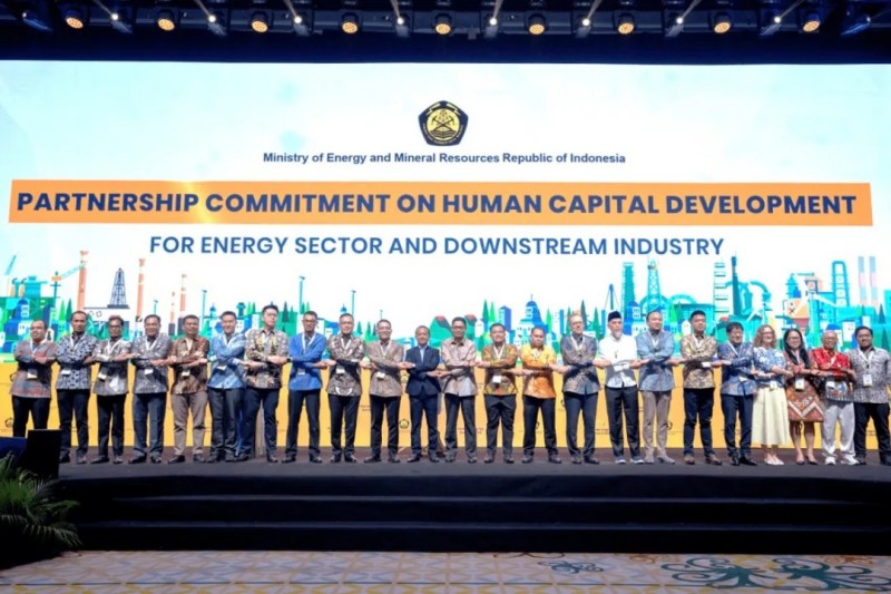 ɭ��������-׷�󿵽�,����һ������