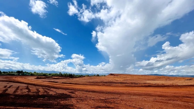 ɭ��������-׷�󿵽�,����һ������