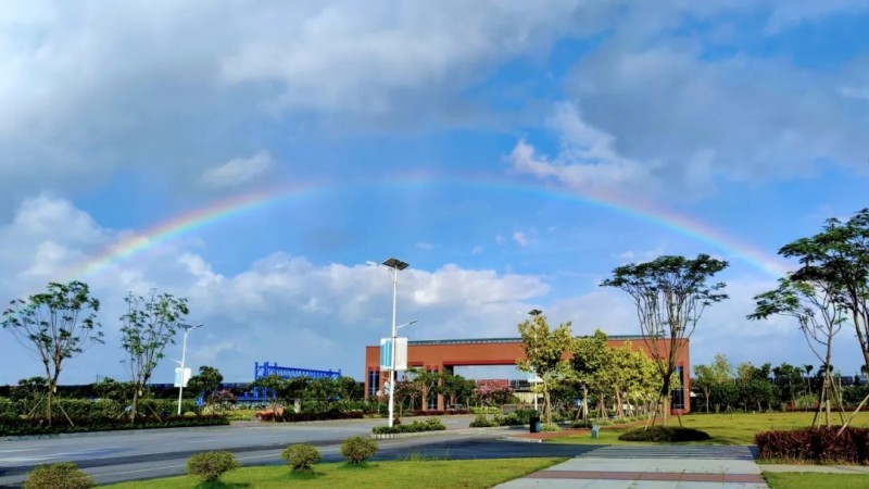 ɭ��������-׷�󿵽�,����һ������