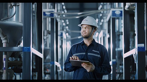 ɭ���������ǻ���ɫ����