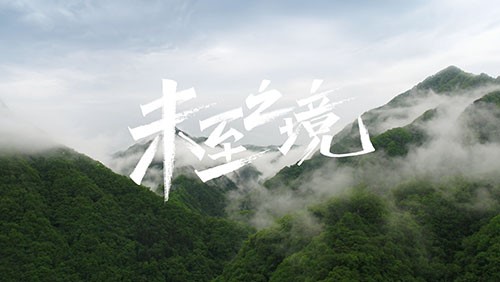 ɭ���������з�ר��Ƭ��δ��֮����