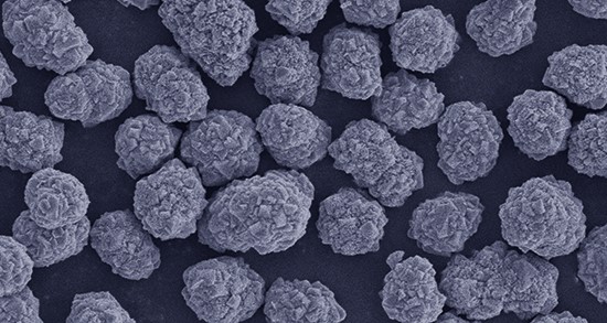 ��Ԫ����Ԫǰ����